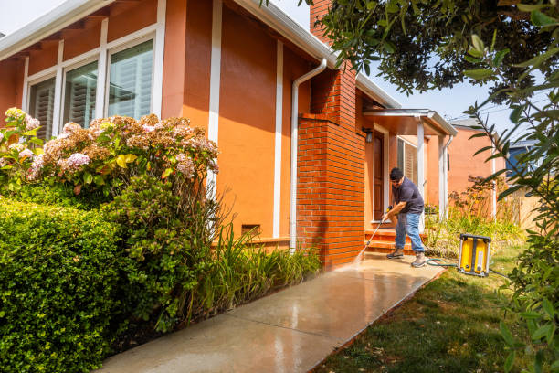 Best Local Pressure Washing Services  in Paris, TX