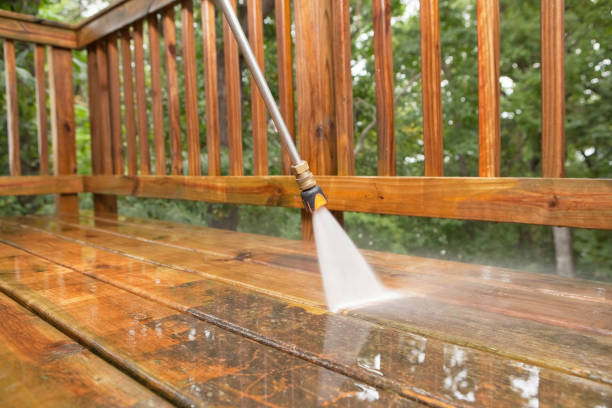 Best Local Pressure Washing Services  in Paris, TX