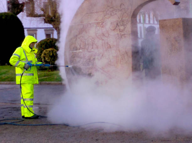 Best Residential Pressure Washing Services  in Paris, TX
